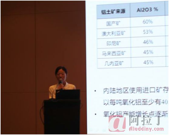 广铝集团 战略研究专员 王亚楠